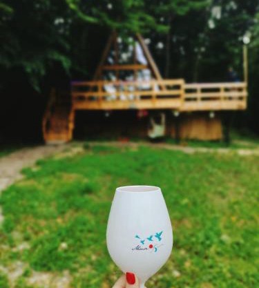 CabanaAframe intreaga proprietate