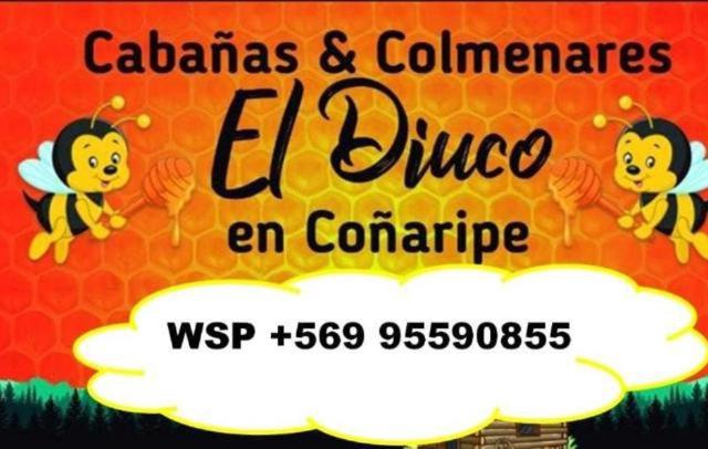 Cabañas El Diuco en Coñaripe 3