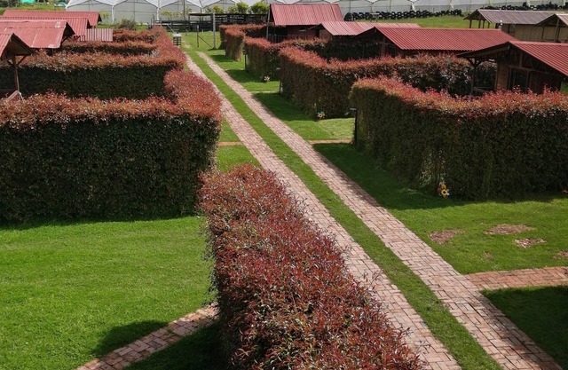 Cabanas en Suesca Cundinamarca (pet friendly)