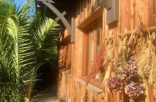 Cabane Chic au Cap Ferret