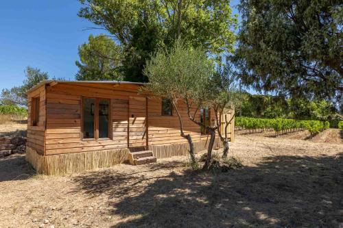 cabane des vignes