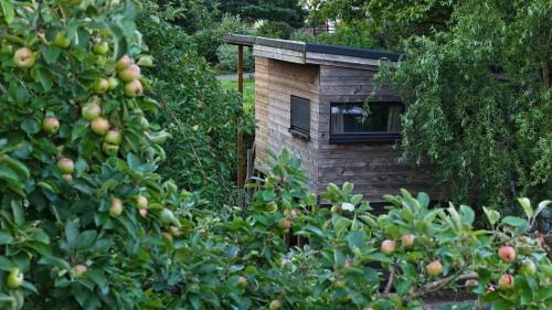 Cabane du hibou