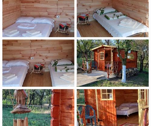 CABANE Nadejda SPERANTA