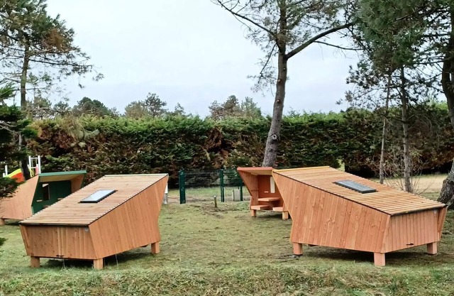Cabane Sauterelle 2 Personen