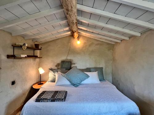Cabanon bucolique face au Luberon