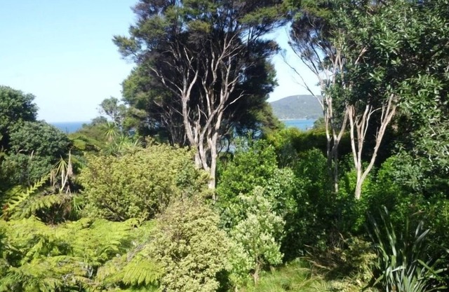 Cabbage Tree: acogedora casa con arbustos y playa más allá