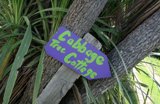 Cabaña del árbol de col de Annie