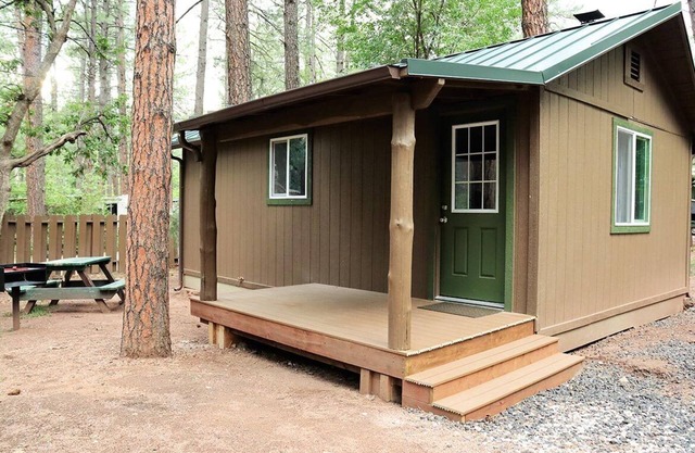 Cabin #1 - 1 Bedroom Modern With Fireplace