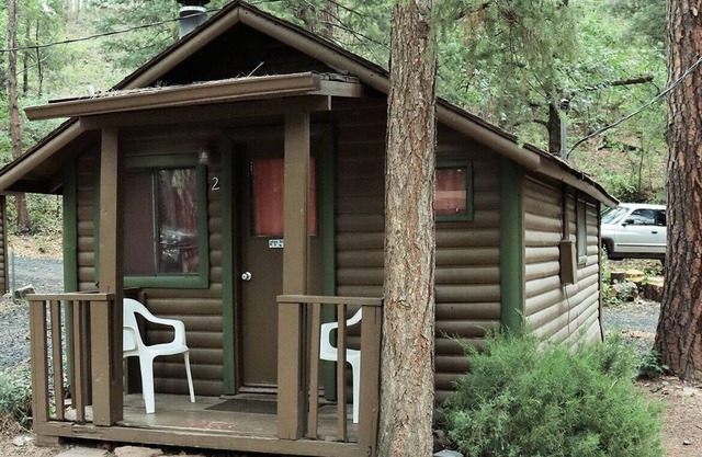 Cabin #2 - Studio with fireplace