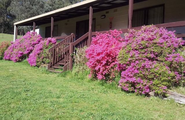 Cabaña 3-Emerald Park