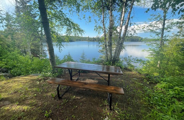 Cabin 3 'Kingfisher' 1 BR, 2 pp, overlooks lake, access to boats!