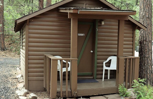 Cabin #5 - Studio - No Fireplace