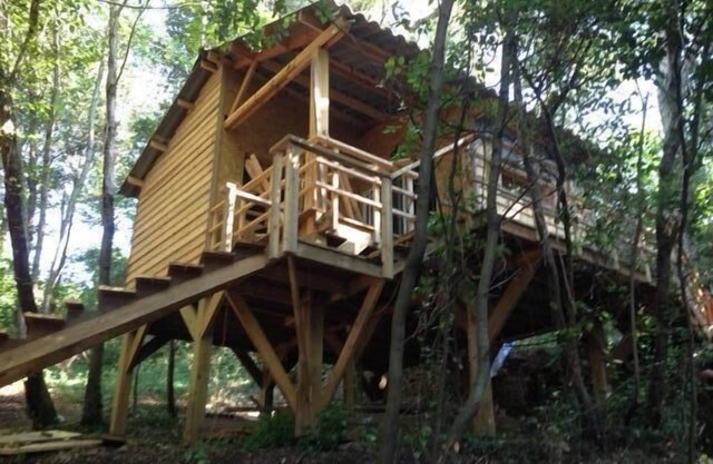 cabaña entre los árboles