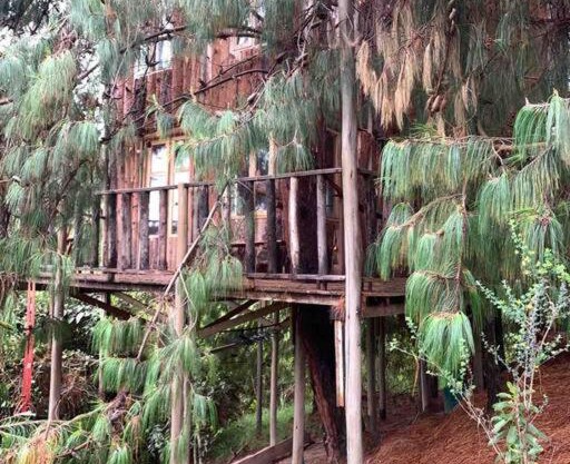 Cabin at Blueberry Farm