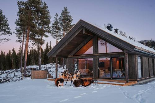 Cabin at ski resort, cross country, hot tub