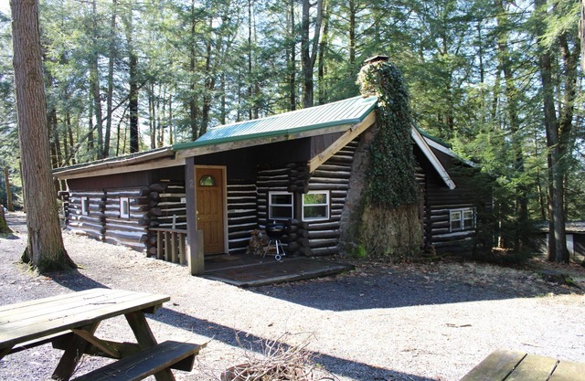 Quaint Cabin For Large Family, Dog Friendly, 2 Minutes to River