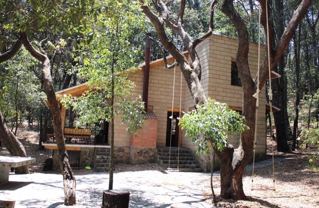 Cabaña sumergida en 1 hectárea de bosque. Maxima potencia de internet (Starlink)
