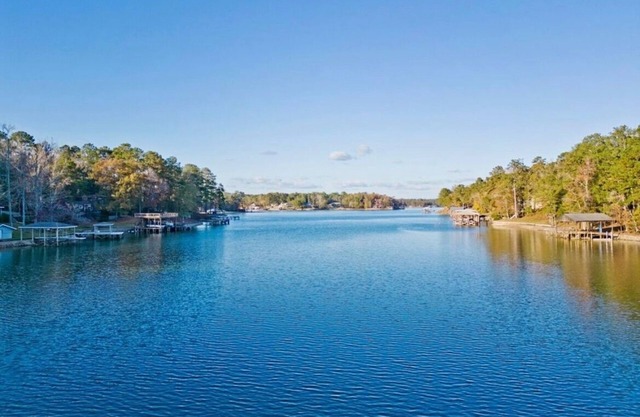 Cabin in the Cove