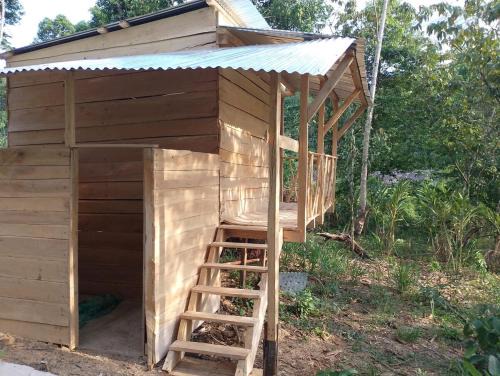 Cabin in the Mayan Jungle