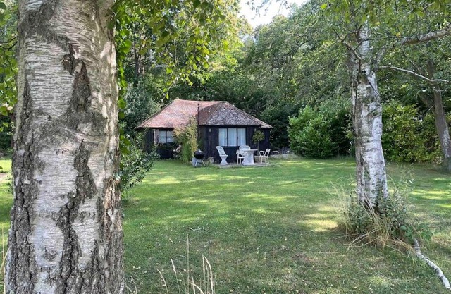 Cabin in the Woods