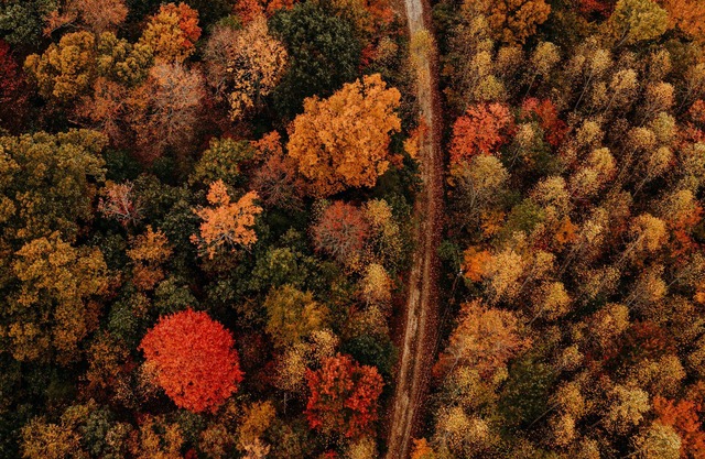 Cabin near RRG & Cave Run Lake!