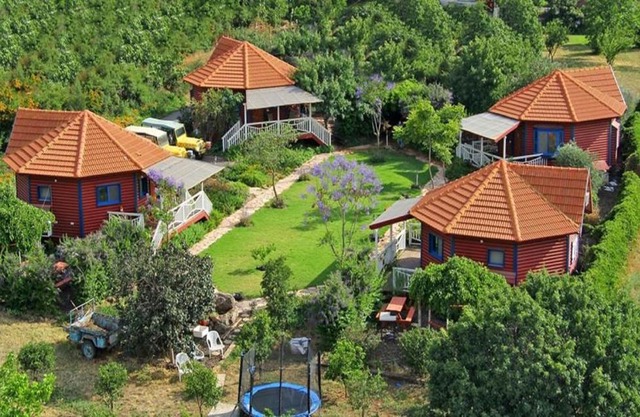 Cabin on the hill