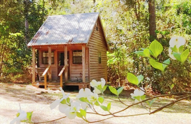 Cabin retreat on 11 wooded acres W of Alexandria; AC WiFi smart TV; 14 night min