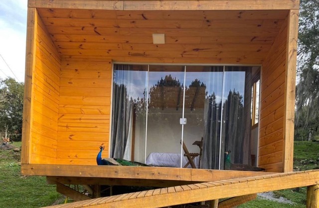 Cabin surrounded by nature and waterfalls a few km from Canela