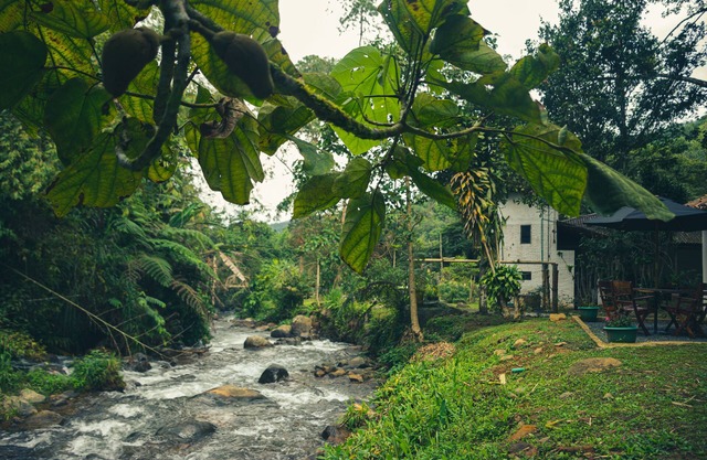 Cabin with private river