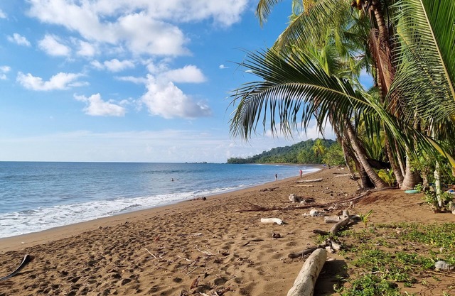 Cabinas Pura Vida Bed & Breakfast