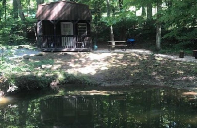 Cabins in a Clearing: Walnut, Chestnut & Beech - Check all three
