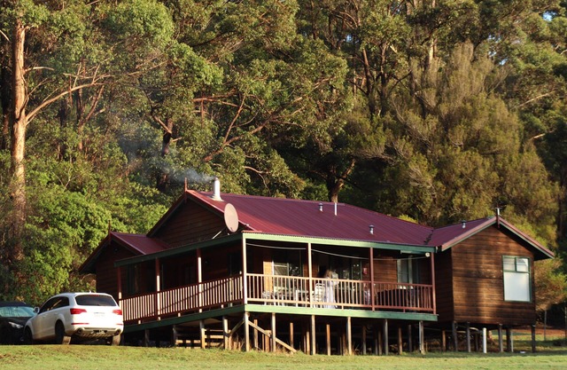 Cabins nestled in 170 acres of old growth forest near the Valley of the Giants.