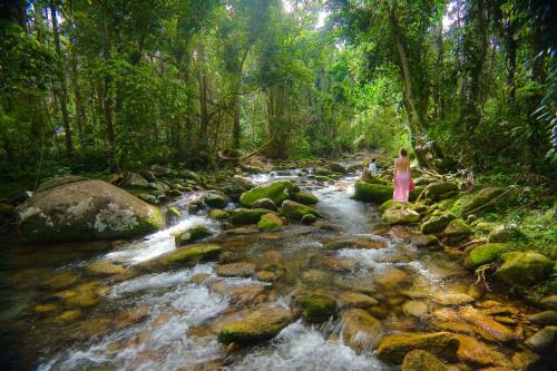 Cairns Rainforest Hideaway