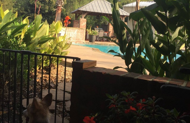 Escapada de Cajun: "En casa lejos de casa" Un pequeño pedazo de paraíso. Muy relajante.