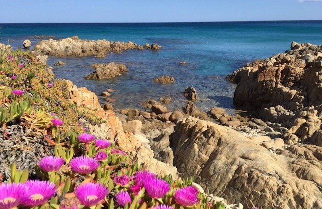 Cala Liberotto: Casa adosada con jardín - Cala Liberotto (Orosei) -App. 6