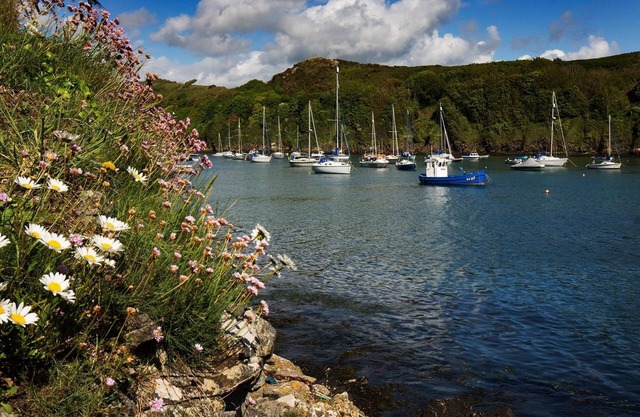 Caleb's Cottage - 4 Bedroom Cottage - Solva