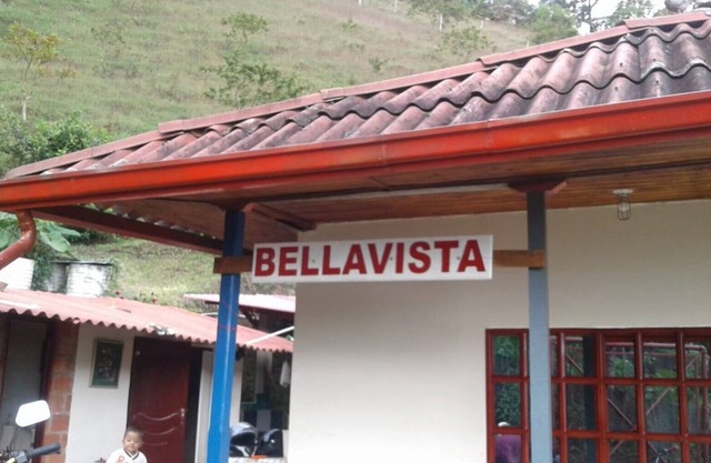 Calima bellavista de colores