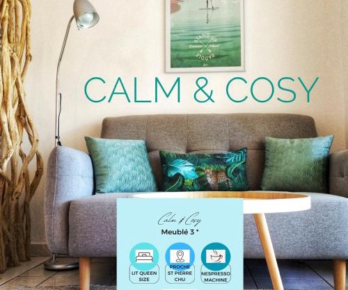 Calm & Cosy, magnifique T1 proche CHU
