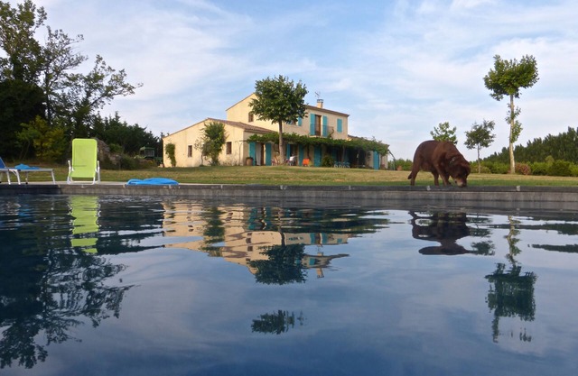 Mas calmar Camargue, espectacular vista, piscina de 15m x 5m