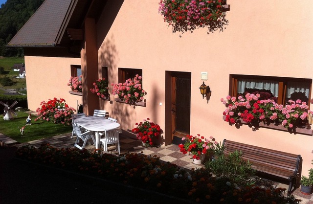 Calma, descanso y relajación en el programa con esta casa rural situada en el corazón de Alsacia.