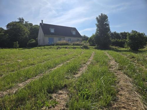 Calme et vue panoramique champs et la Sarthe