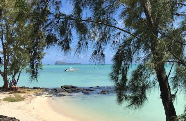 Calodyne Paradis