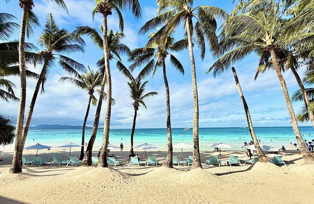 Calypso Beach & Dive Resort