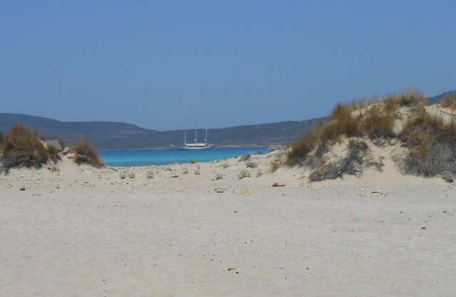 Calypso