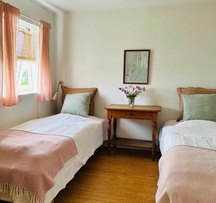 Camønogaarden B&B, darksky cabins and events