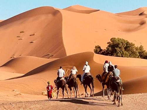 Camel Luxury Camp