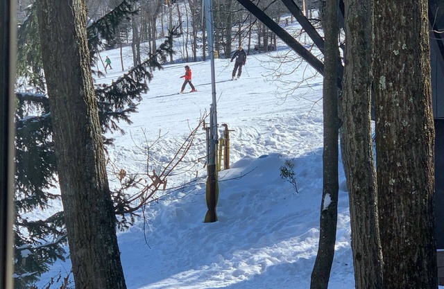 Camelback walk out onto the slopes