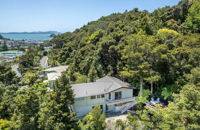 Camelia con WiFi - Unidad Paihia