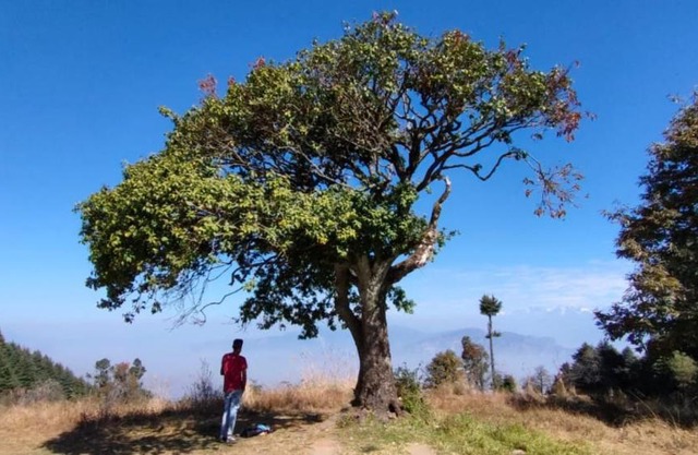 Camp Awara Kanatal