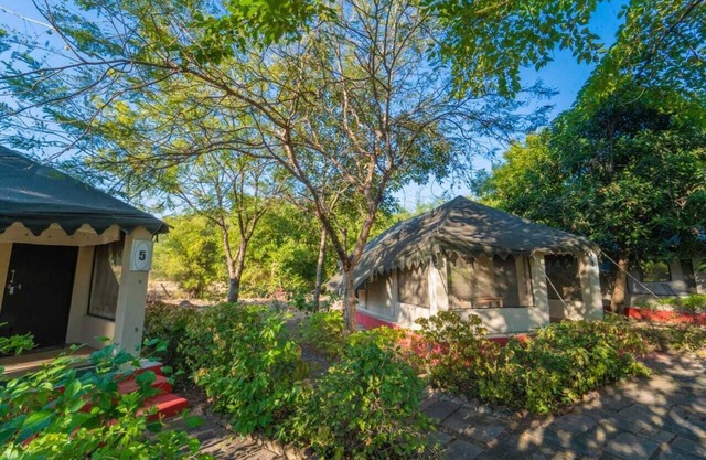 Camp Serai Tiger Tadoba